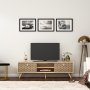 HANAH HOME TV polica Newyork Sapphire Oak - slika 2