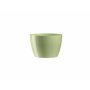 DiMartino SAKSIJA RIO BABY GREEN 20 400241 - slika 1