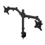 ENDORFY Atlas Double (Atlas 200) stoni nosač za monitore (EY8F003) - slika 2