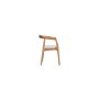 HANAH HOME Trpezarijska stolica Alfa Natural - slika 3