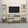 HANAH HOME TV polica Robbins Gold Anthracite - slika 1