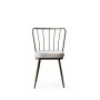 HANAH HOME Set 4 stolice Yıldız 985 V4 - slika 2