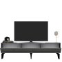 HANAH HOME TV polica Defne Anthracite Gold - slika 4