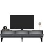 HANAH HOME TV polica Defne Anthracite Silver - slika 5
