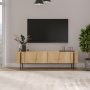 HANAH HOME TV polica Herman Sapphire Oak - slika 1