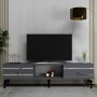 HANAH HOME TV polica Pelin Anthracite Silver - slika 1