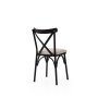 HANAH HOME Set 2 stolice Ekol 285 V2 - slika 3