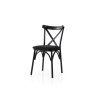 HANAH HOME Set 2 stolice Ekol 290 V2 - slika 2