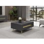 HANAH HOME Sto za dnevnu sobu Jose Anthracite - slika 3