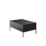 HANAH HOME Sto za dnevnu sobu Lord Anthracite Gold - slika 4