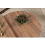 HANAH HOME Sto za dnevnu sobu Orion Atlantic Pine - slika 5
