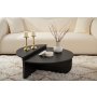 HANAH HOME Sto za dnevnu sobu Orion Wood Black - slika 1