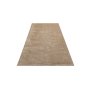 Conceptum Hypnose Tepih (160x230) Msr 05 Beige - slika 1