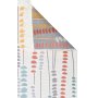 Conceptum Hypnose Tepih (160x230) Ar 34 Multy - slika 2