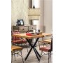 OPVIQ Rattan Kucuk Pasta Sarkıt luster - slika 2