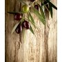 Conceptum Hypnose Tepih staza (80x300) 4051A Multicolor - slika 2