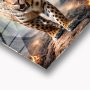WALLXPERT Dekorativna slika Claw 63 x 93 - slika 2