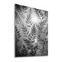 WALLXPERT Dekorativna slika X RAY 63 x 93 - slika 1