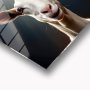 WALLXPERT Dekorativna slika Innocence 63 x 63 - slika 2