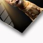 WALLXPERT Dekorativna slika Purr 63 x 63 - slika 2