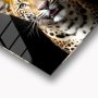 WALLXPERT Dekorativna slika Regal 63 x 63 - slika 2