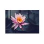WALLXPERT Dekorativna slika 1376 (70 x 100) - slika 2