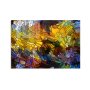 WALLXPERT Dekorativna slika 1432 (70 x 100) - slika 2