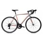 CAPRIOLO Eclipse 4.0 sivo 923616-58 - slika 1