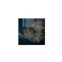 WALLXPERT Dekorativna slika 1259 K (60 x 60) - slika 2