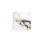 WALLXPERT Dekorativna slika 2074 K (60 x 60) - slika 2