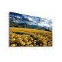 WALLXPERT Dekorativna slika Amber 65 x 45 - slika 1