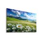 WALLXPERT Dekorativna slika Moorland 65 x 45 - slika 1