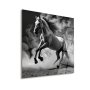 WALLXPERT Dekorativna slika Freedom 43 x 43 - slika 1