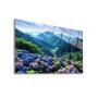WALLXPERT Dekorativna slika Blossom 43 x 30 - slika 1