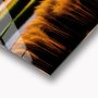 WALLXPERT Dekorativna slika Reeds 30 x 43 - slika 2