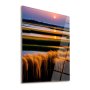 WALLXPERT Dekorativna slika Reeds 30 x 43 - slika 1