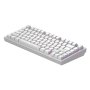 Dark Project ALU Terra Nostra White - Wired Gaming Keyboard (ANSI) - slika 2