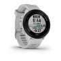 GARMIN Forerunner 55 Whitestone (010-02562-11) - slika 3
