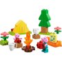 LEGO DUPLO Kampovanje (10452 ) - slika 2