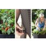 KETER Saksija sa nogarima Easy Grow 120L 114x49,3x75,7cm CU 230297 - slika 3