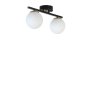 OPVIQ Luster Yeni Can 2 846STL5224 - slika 3