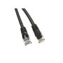 Xwave Belden UTP CAT6 2m Patch Cord - slika 1