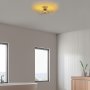 OPVIQ Plafonjera Karsortel N 639 1 - slika 2