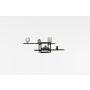 HANAH HOME Mone Anthracite Black - slika 3