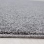 Conceptum Hypnose Tepih Ata 7000 Light Grey 120 x 120 (743CDY1307) - slika 3