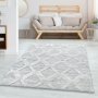 Conceptum Hypnose Tepih Pısa 4703 Grey 120 x 170 (743CDY2781) - slika 2