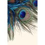 Conceptum Hypnose Multicolor tepih Hmnt 568 120 x 180 (476HFT2065) - slika 1