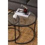 HANAH HOME Sto za dnevnu sobu Tokyo 60 Black Fume - slika 3