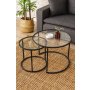 HANAH HOME Sto za dnevnu sobu Belarus 60 Black Transparent - slika 1