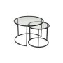 HANAH HOME Sto za dnevnu sobu Belarus 80 Black Transparent - slika 4